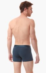 Minerva Ανδρικό Boxer Micro-Modal Mengear Lamoda.gr