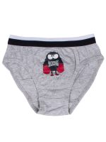 Minerva Παιδικά Εσώρουχα Slip για Αγόρια 96-42004 Lamoda.gr