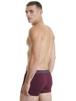 Pak 2τεμ Ανδρικό Boxer Βαμβακερό Walk W1756
