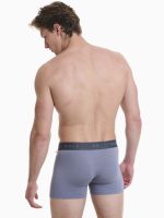 2Τεμ. Ανδρικά Boxer από Bamboo Walk W1776