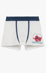 Minerva Παιδικά για Αγόρια Boxer 100% Βαμβακερά 90-42298 Lamoda.gr