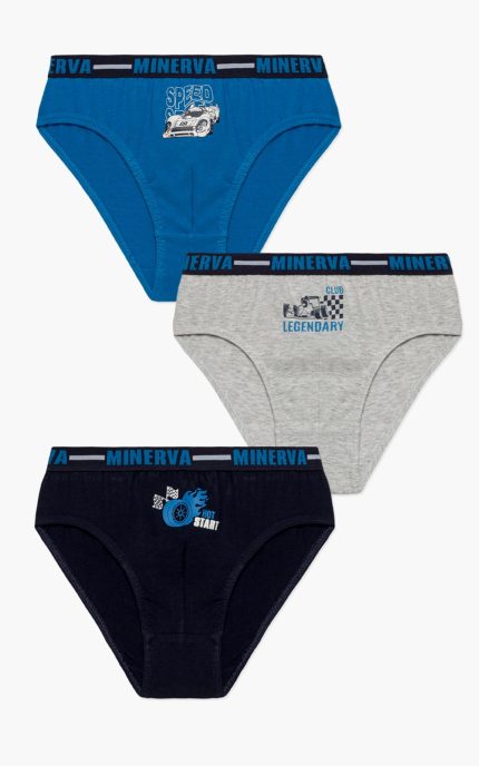 Minerva Παιδικά Βαμβακερά Slip για Αγόρια 96-42265 Lamoda.gr