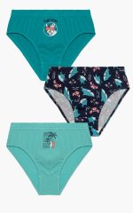 Minerva Παιδικά Βαμβακερά Slip για Αγόρια 96-42266 Lamoda.gr