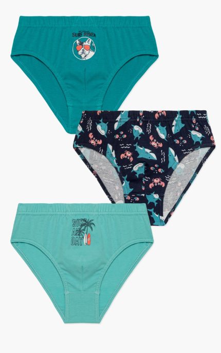 Minerva Παιδικά Βαμβακερά Slip για Αγόρια 96-42266 Lamoda.gr