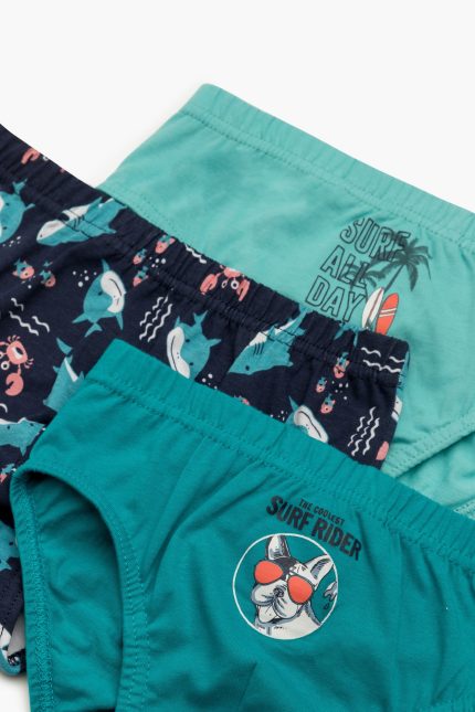Minerva Παιδικά Βαμβακερά Slip για Αγόρια 96-42266 Lamoda.gr