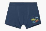 Minerva Παιδικό Βαμβακερό Boxer 90-42574 Lamoda.gr