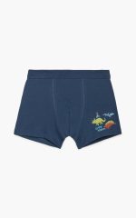 Minerva Παιδικό Βαμβακερό Boxer 90-42574 Lamoda.gr