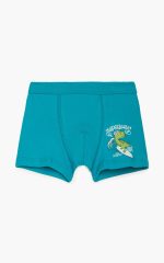 Minerva Παιδικό Βαμβακερό Boxer Surf Dino 90-42569 Lamoda.gr