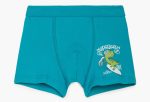 Minerva Παιδικό Βαμβακερό Boxer Surf Dino 90-42569 Lamoda.gr