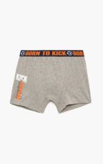 Minerva Παιδικό Βαμβακερό Boxer 90-42598 Lamoda.gr