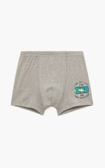Minerva Παιδικό Βαμβακερό Boxer για Αγόρια 90-42603 Lamoda.gr