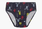 Minerva 3Pack Παιδικά Βαμβακερά Slip για Αγόρια 96-42625 Lamoda.gr