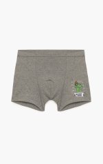 Minerva Παιδικό Βαμβακερό Boxer για Αγόρια 90-42658 Lamoda.gr