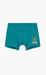 Minerva Παιδικό Βαμβακερό Boxer για Αγόρια 90-42658 Lamoda.gr