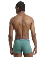Pak 2τεμ Ανδρικό Boxer Βαμβακερό Walk W1756