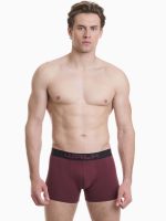 Pak 3τεμ Ανδρικά Boxer Βαμβακερά Walk W1753-5