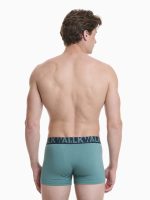 Pak 2τεμ Ανδρικό Boxer Βαμβακερό Walk W1755-1
